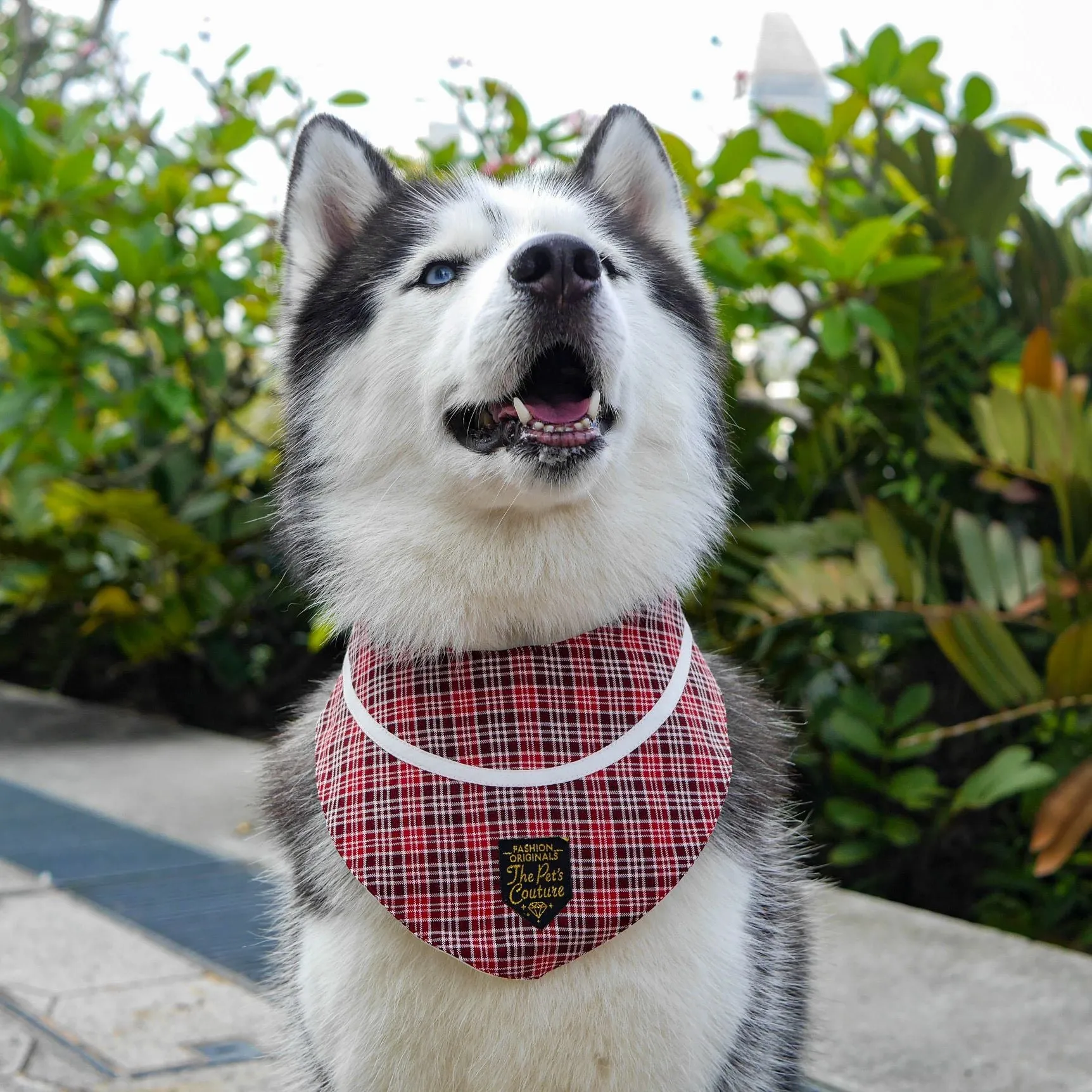 Bandanas - Shades of Red Plaids