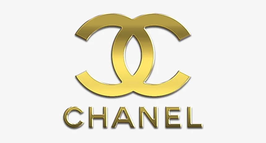 CHANEL CC PYTHON GABRIELLE HOBO BAG IN YELLOW MULTICOLOR