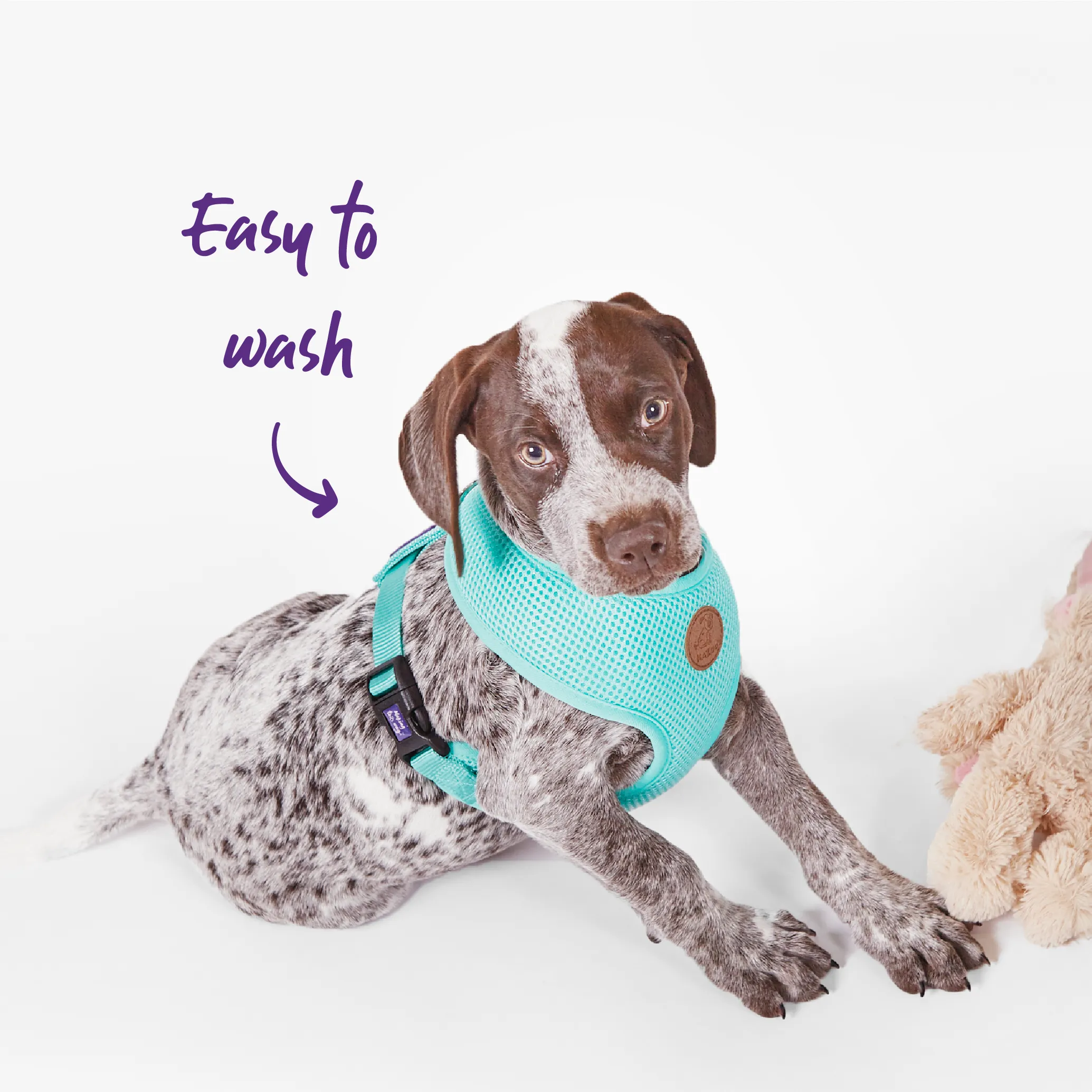 Classic Soft Walking Dog Harness - Mint