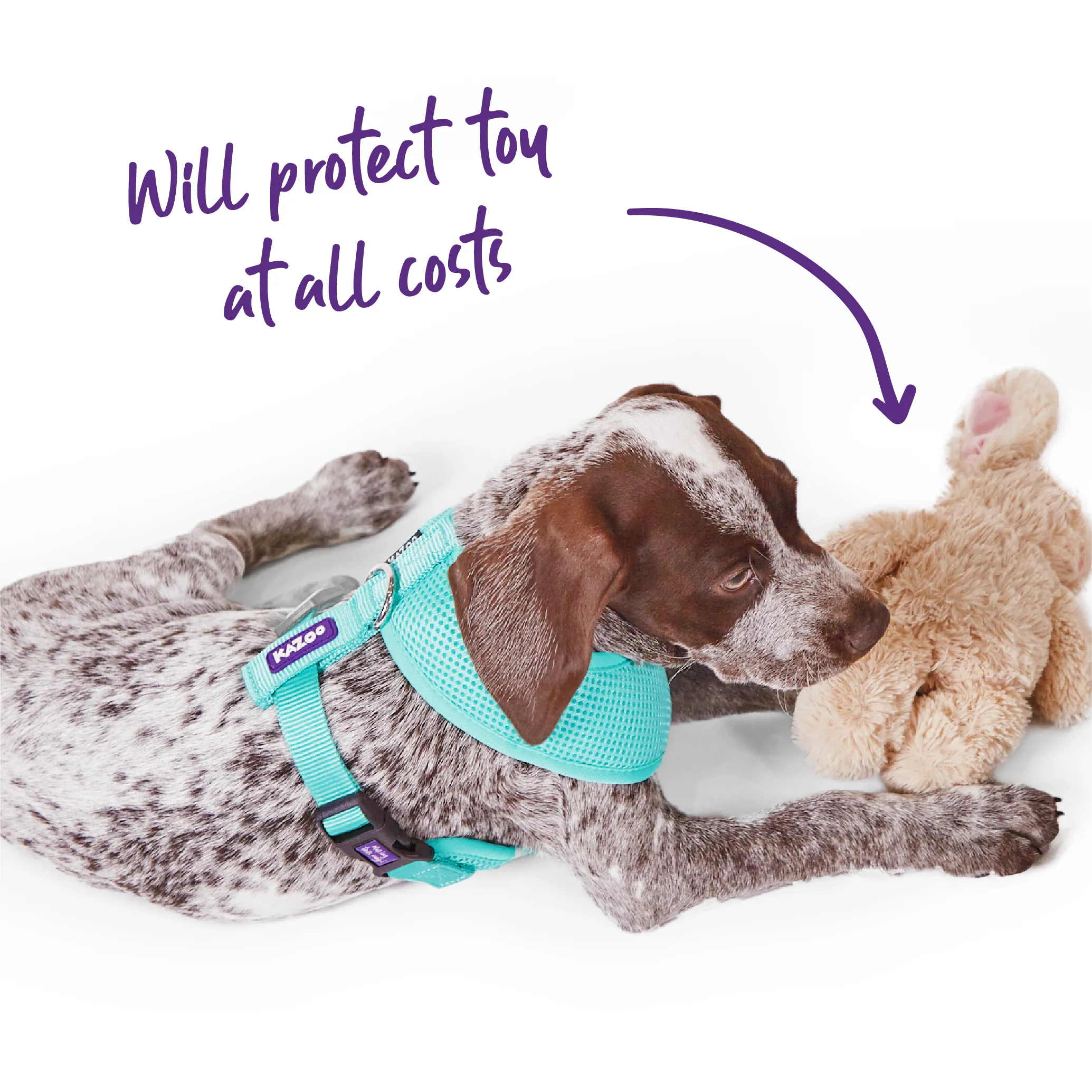 Classic Soft Walking Dog Harness - Mint