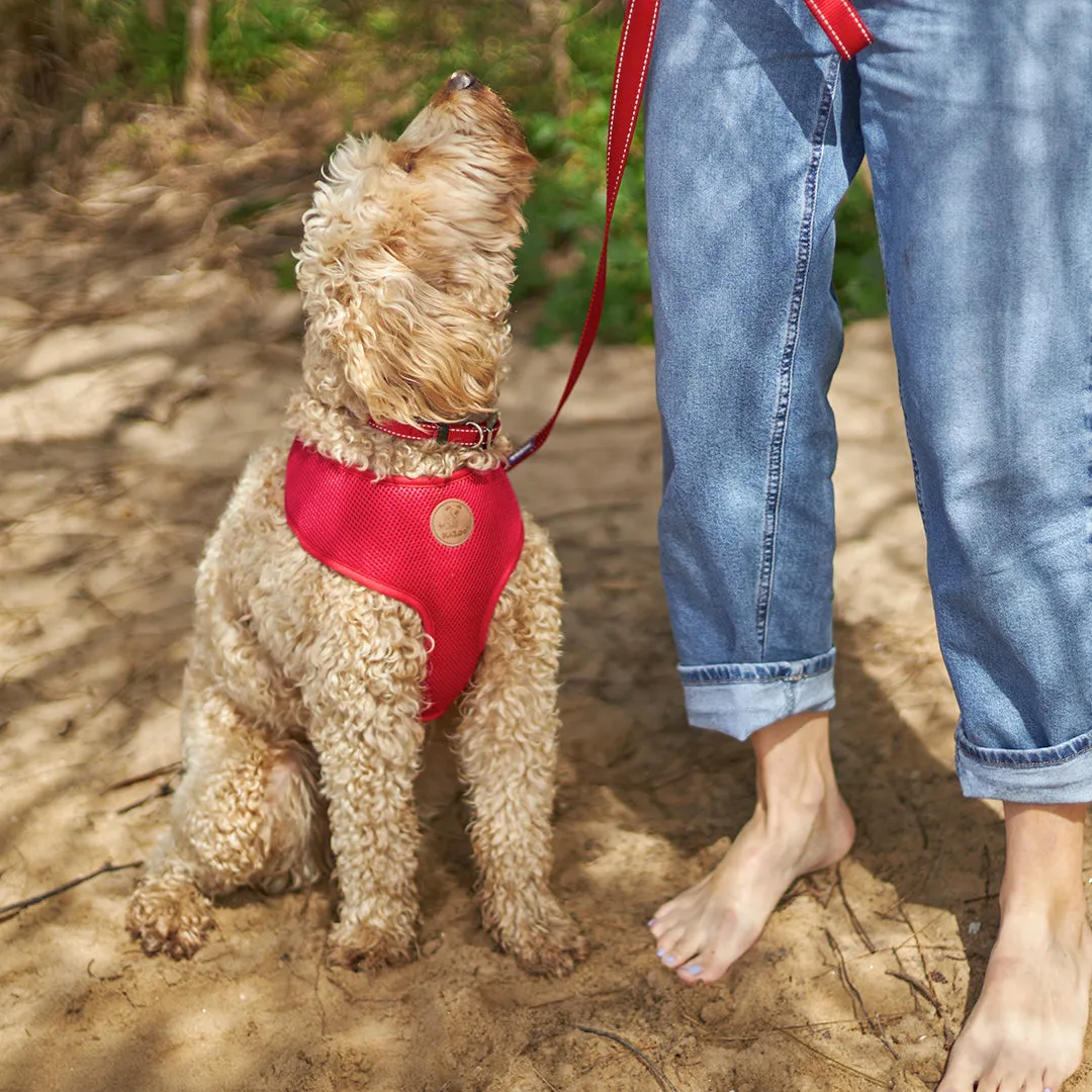 Classic Soft Walking Dog Harness - Red