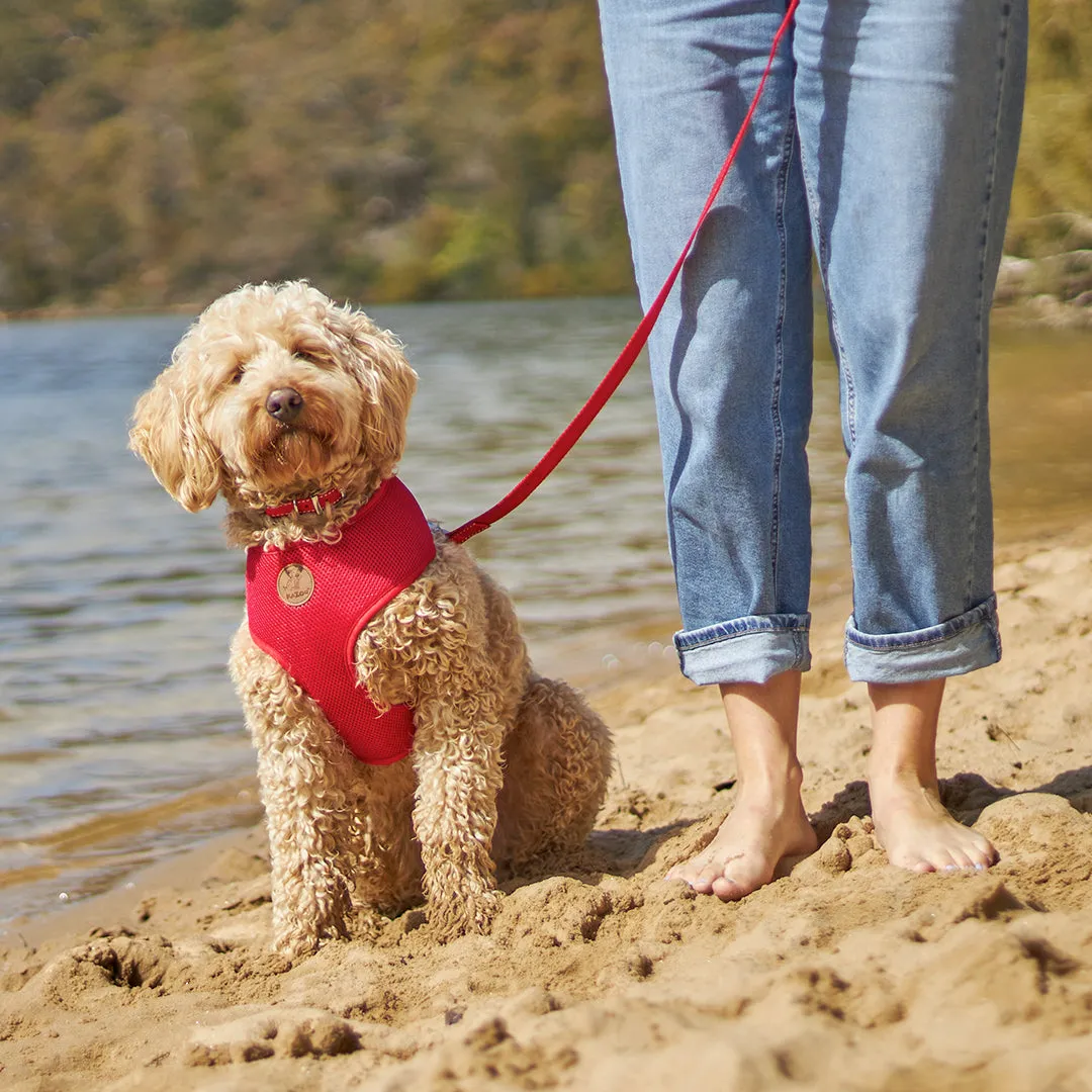 Classic Soft Walking Dog Harness - Red
