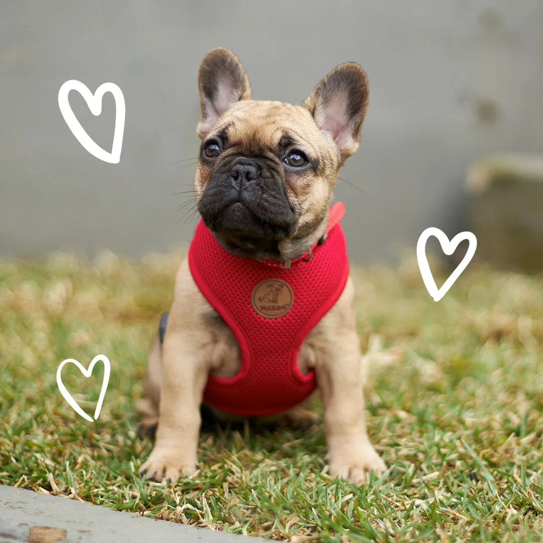 Classic Soft Walking Dog Harness - Red