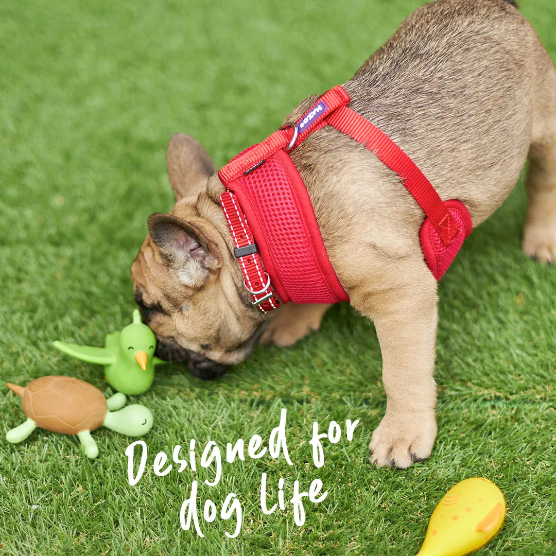 Classic Soft Walking Dog Harness - Red