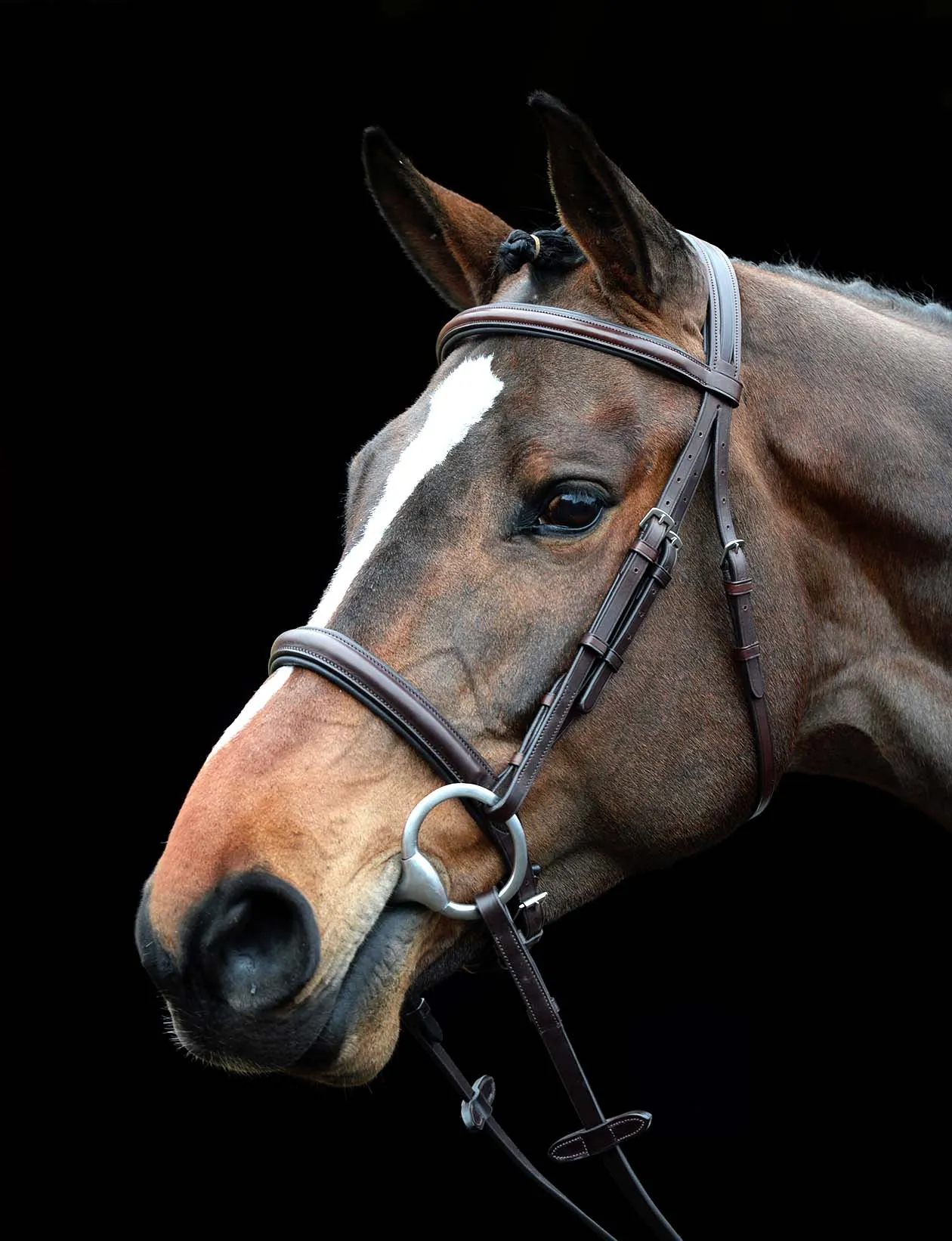 Collegiate Comfort Crown Padded Raised Cavesson Bridle