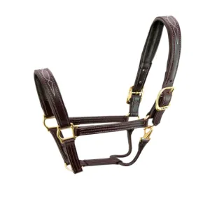 Walsh Signature Padded Halter