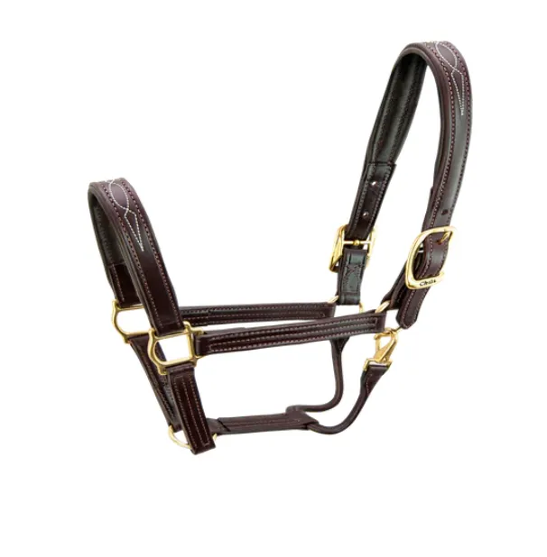 Walsh Signature Padded Halter